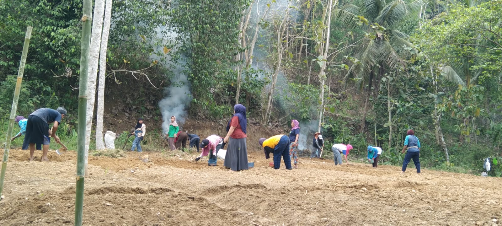 Semakin Maju, KWT Gayatri Sangkrek Buka Lahan Baru